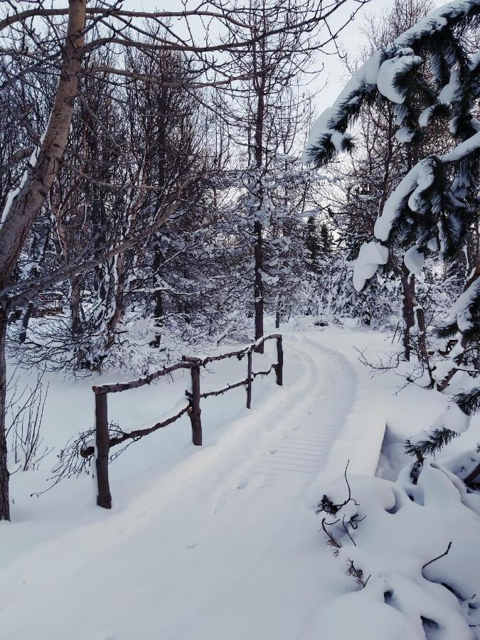 Bakkakot 2 - Cozy Cabins In The Woods Akureyri Extérieur photo