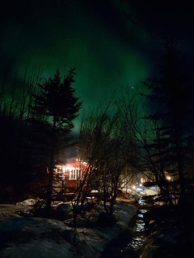 Bakkakot 2 - Cozy Cabins In The Woods Akureyri Extérieur photo