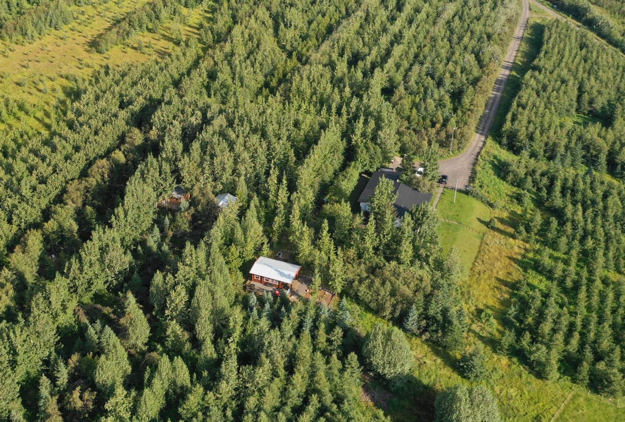 Bakkakot 2 - Cozy Cabins In The Woods Akureyri Extérieur photo